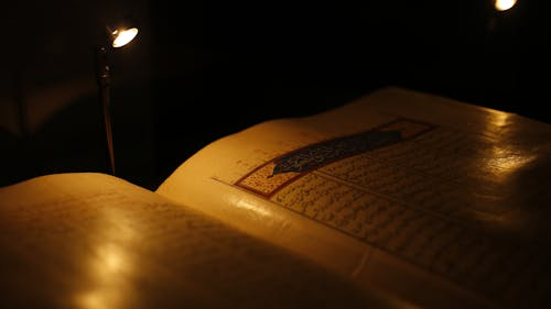 Industry Case Studies for Video Script Translation