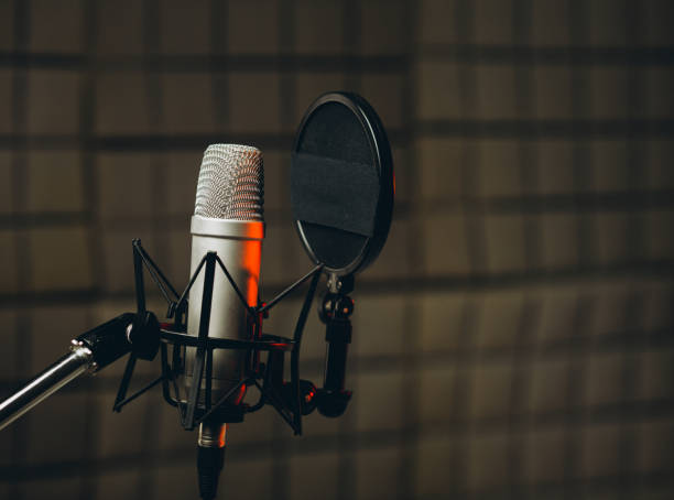 Bringing Videos to Life: A Deep Dive into Dubbing from AI Tech to Human Voices