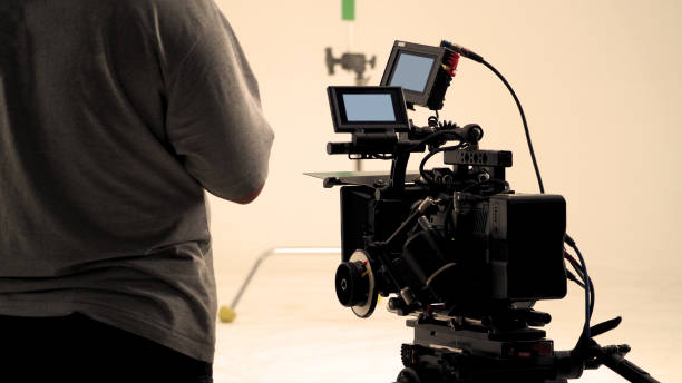 Crafting Voices That Delight: Mastering Animation Dubbing Services