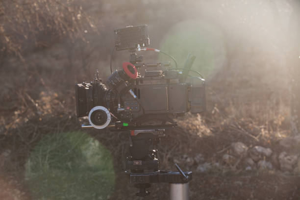 When a Dubbed Voice Feels Real: Emotional Depth, Native Fluency, and Brand Identity in Video Dubbing