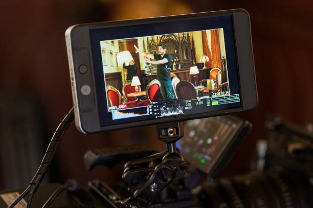 Taking Content Global: Professional Video Subtitle Translation and Localization